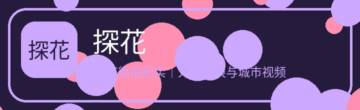 探花